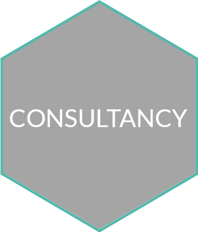 CONSULTANCY-30